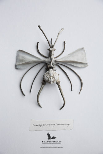 advertising photographer,Advertising Photographers