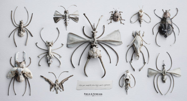 Animal bones are arranged to create bug shapes,advertising photographers